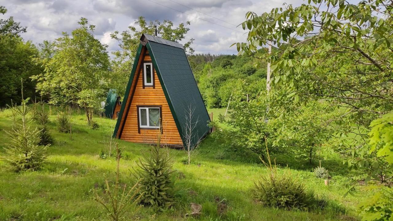 Zelenaya Usad'Ba Stavbor Zavadivka Exterior foto