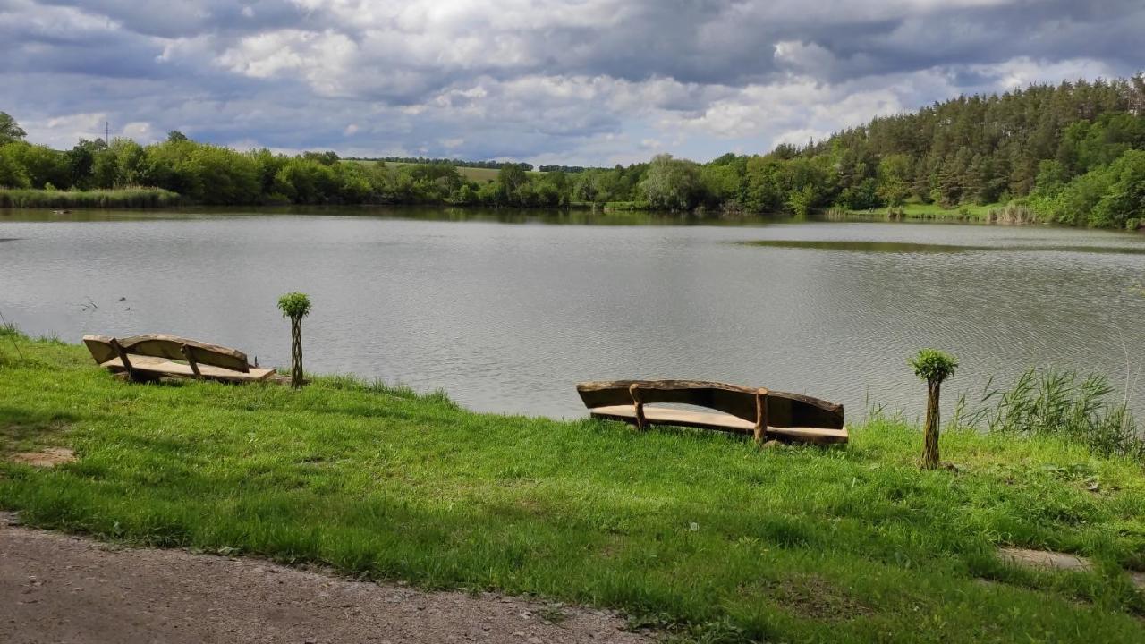 Zelenaya Usad'Ba Stavbor Zavadivka Exterior foto