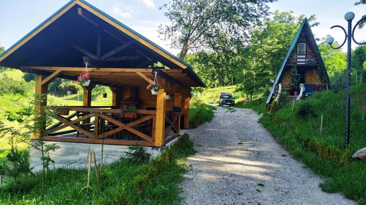 Zelenaya Usad'Ba Stavbor Zavadivka Exterior foto