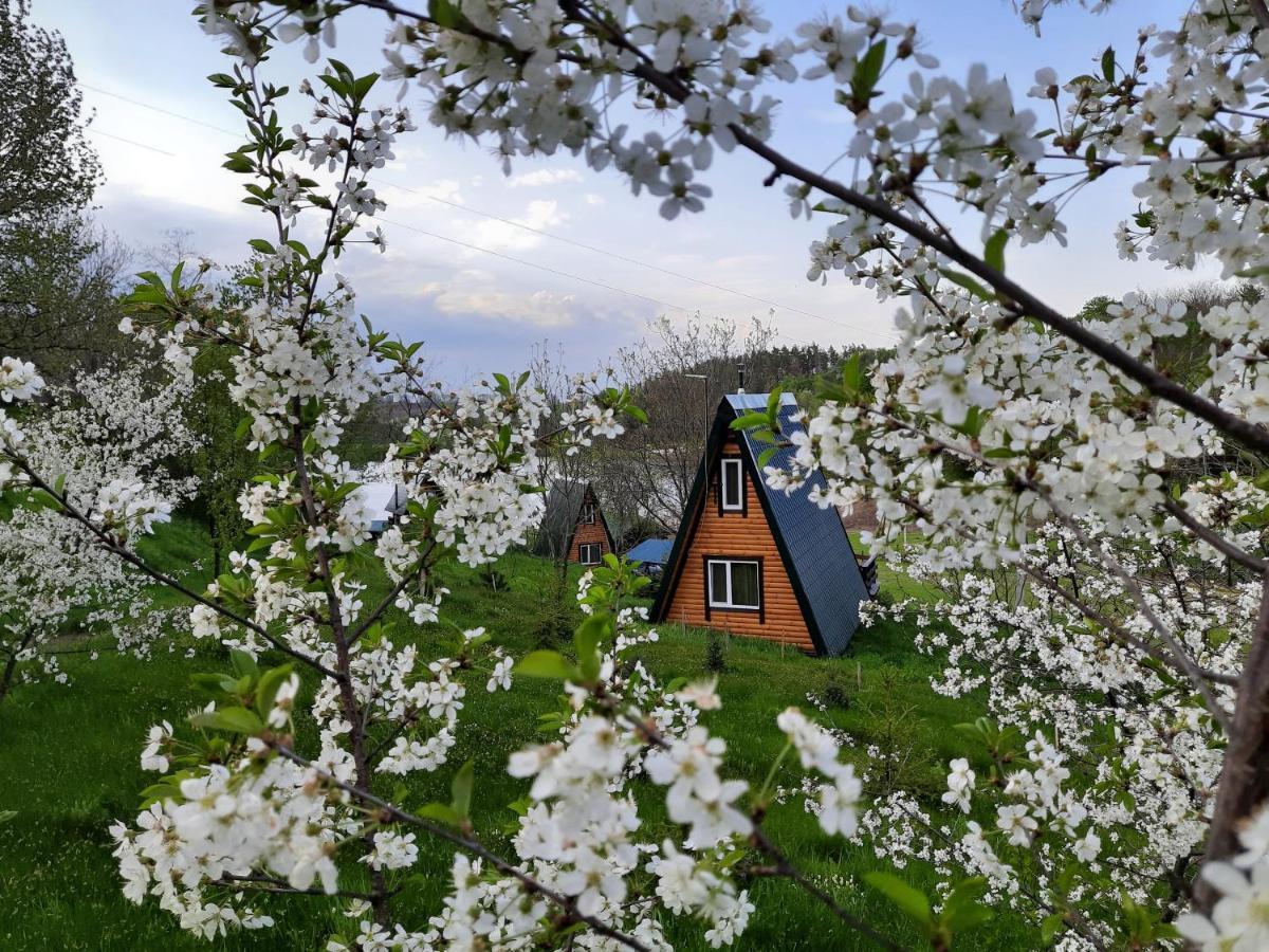 Zelenaya Usad'Ba Stavbor Zavadivka Exterior foto