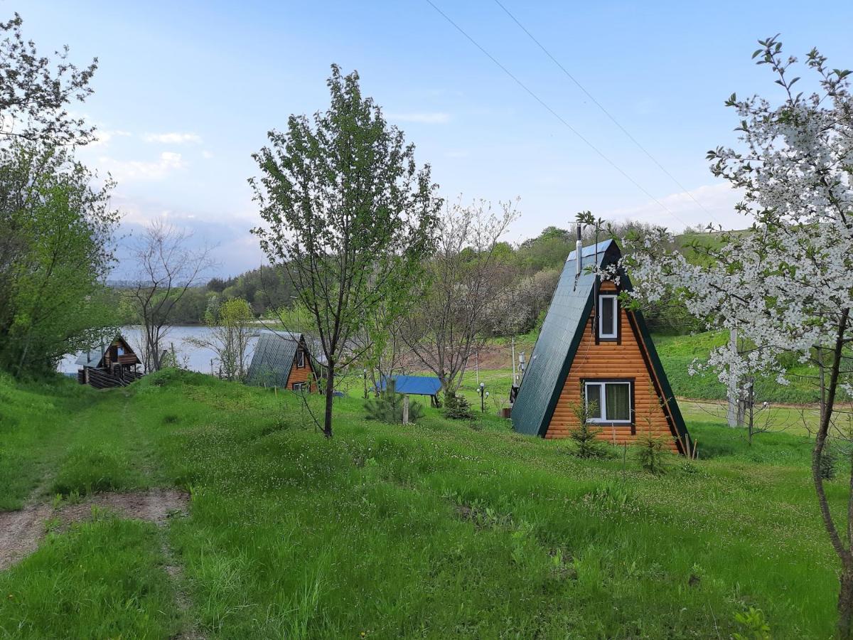 Zelenaya Usad'Ba Stavbor Zavadivka Exterior foto
