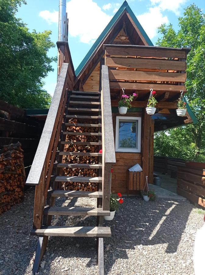 Zelenaya Usad'Ba Stavbor Zavadivka Exterior foto